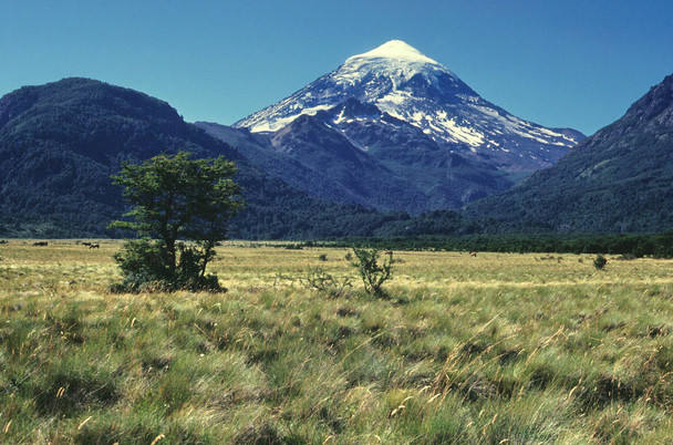 A beautiful Patagonian landscape: grasslands in the foreground; mountains in the background