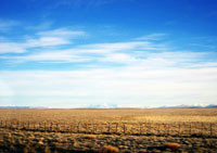 A typical Patagonian scene: sky, shrub desert, and fence posts
